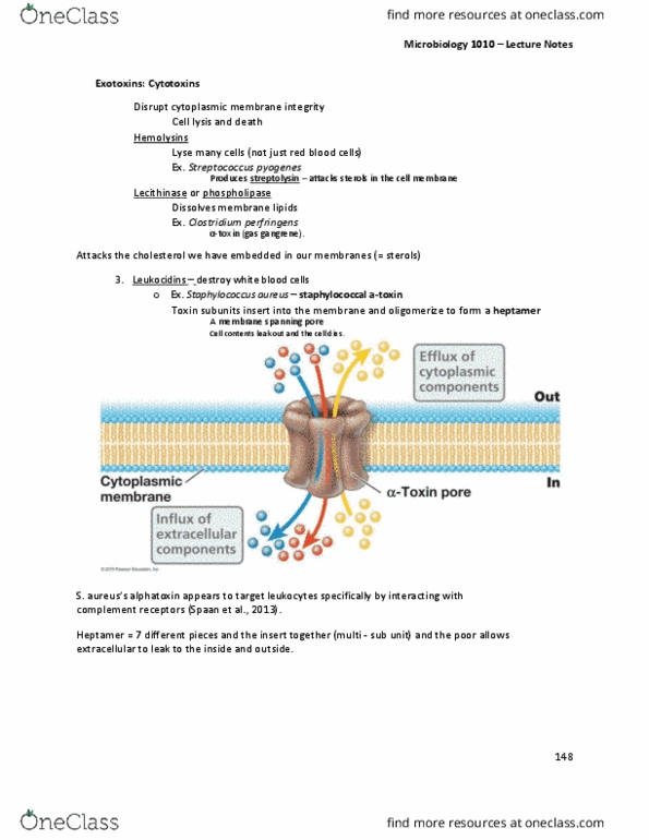 MBIO 1010 Lecture Notes - Lecture 28: Corynebacterium Diphtheriae, Diphtheria Toxin, Septic Shock thumbnail