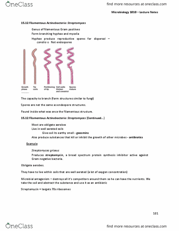 MBIO 1010 Lecture Notes - Lecture 18: Protein Synthesis Inhibitor, Actinobacteria, Bacteroidetes thumbnail