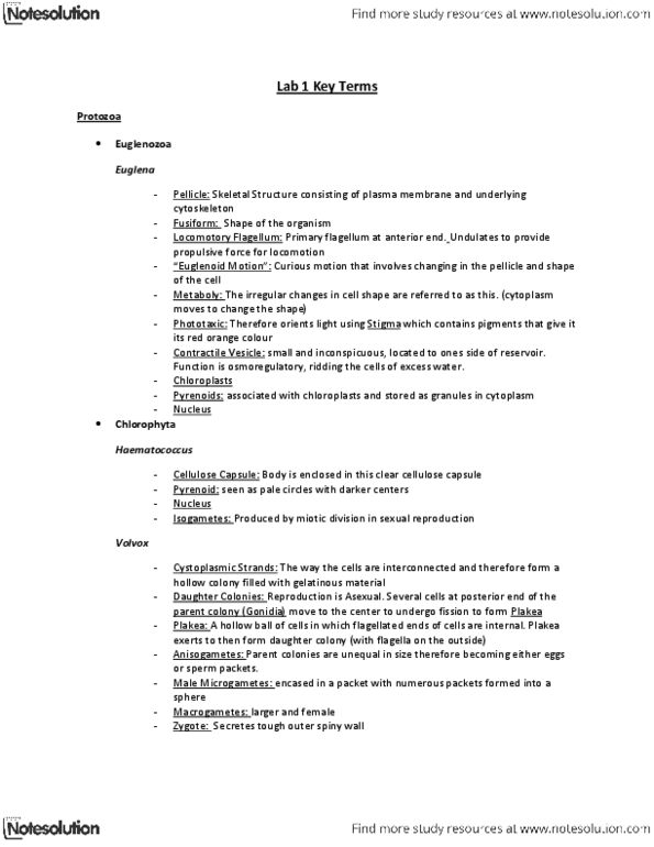 ZOO 2700 Lecture Notes - Frenulum, Furcula, Telson thumbnail