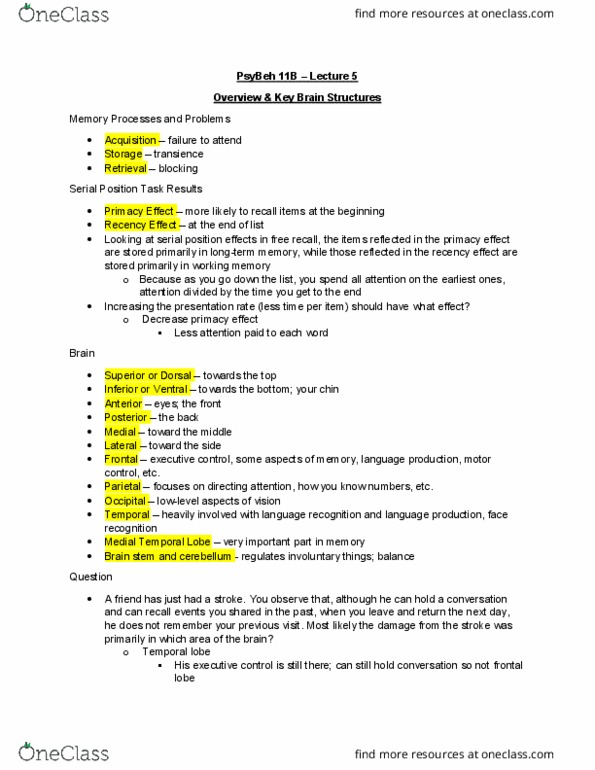 PSY BEH 11B Lecture Notes - Lecture 5: Frontal Lobe, Temporal Lobe, Free Recall thumbnail