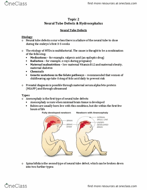NURS 3012 Lecture Notes - Lecture 2: Neural Tube Defect, Arnold–Chiari Malformation, Neurogenic Bladder Dysfunction thumbnail