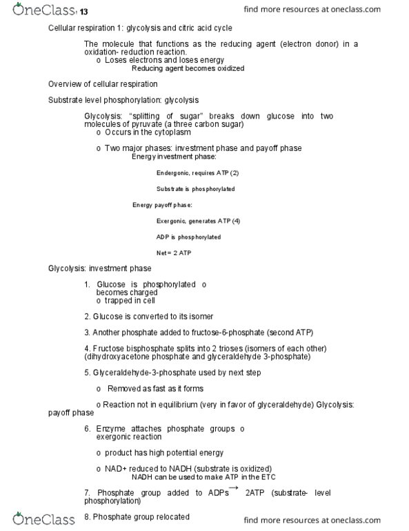 BIOL 1020 Lecture 13: Lecture 13 thumbnail