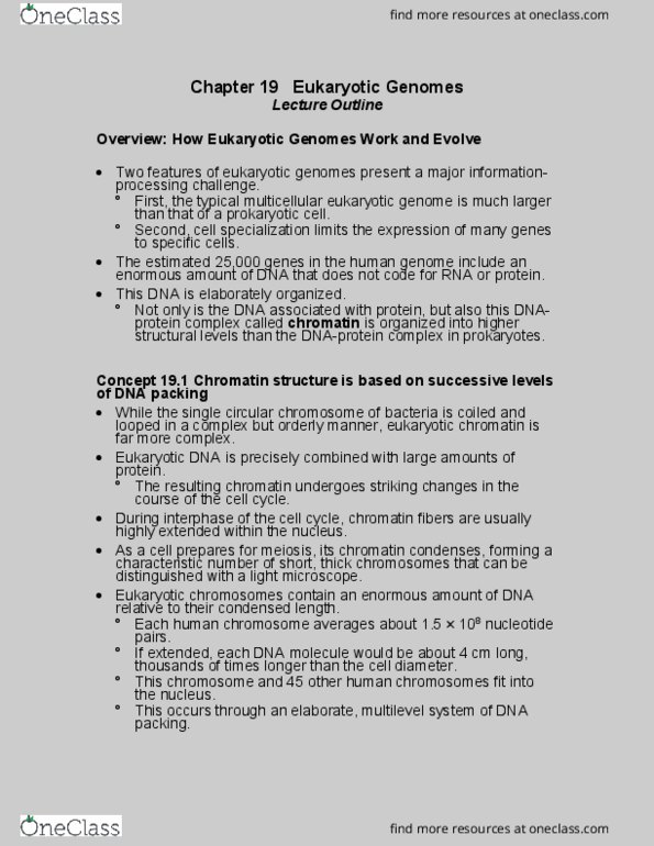 BIOL 1020 Chapter Notes - Chapter 19: Histone H1, Rna Splicing, Gene Expression thumbnail