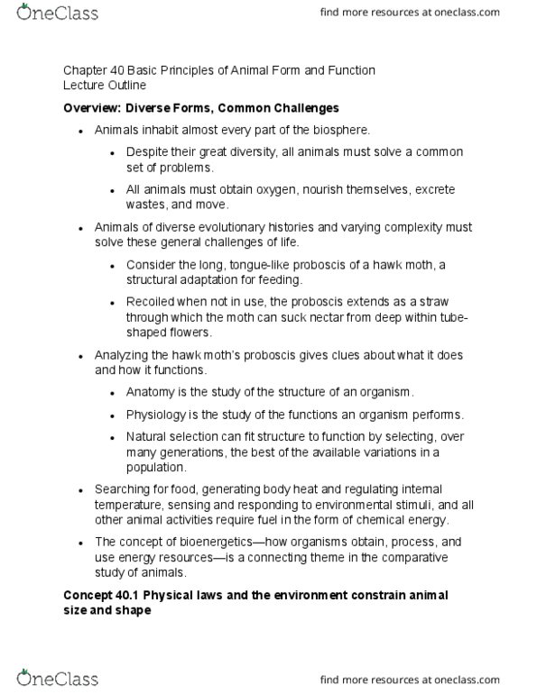 BIOL 1030 Chapter Notes - Chapter 40: Loose Connective Tissue, Chondroitin Sulfate, Adipose Tissue thumbnail