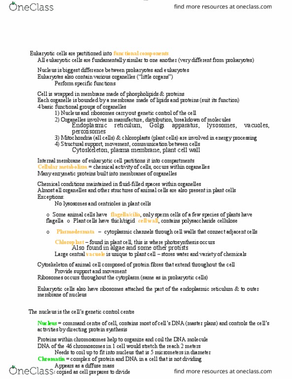 BIOL 1000 Lecture Notes - Lecture 10: Endoplasmic Reticulum, Golgi Apparatus, Cell Membrane thumbnail