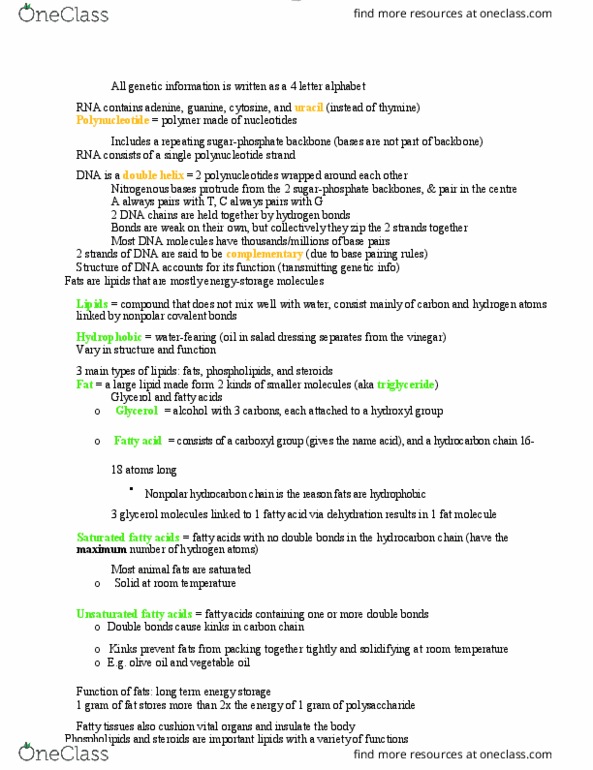 BIOL 1000 Lecture Notes - Lecture 7: Polynucleotide, Glycerol, Uracil thumbnail