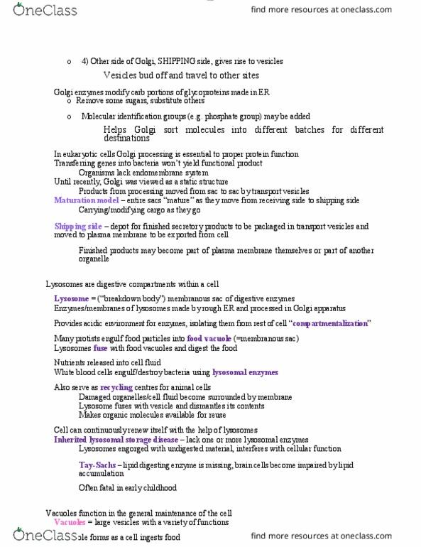 BIOL 1000 Lecture Notes - Lecture 13: Cell Membrane, Endomembrane System, Lysosome thumbnail