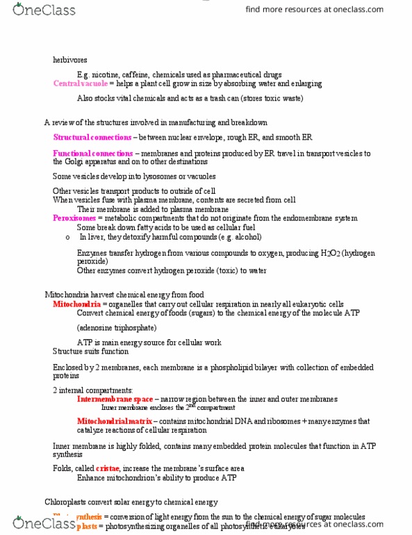 BIOL 1000 Lecture Notes - Lecture 14: Cellular Respiration, Cell Membrane, Nuclear Membrane thumbnail