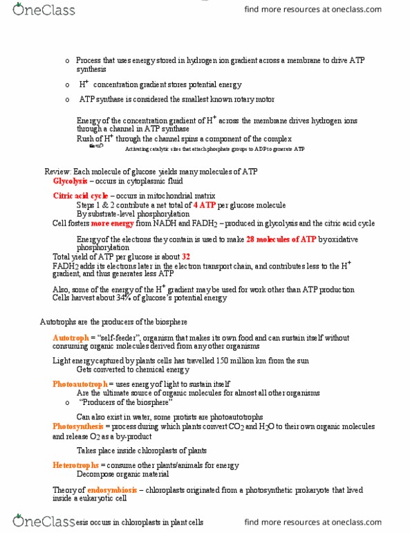 BIOL 1000 Lecture Notes - Lecture 25: Atp Synthase, Electric Motor, Oxidative Phosphorylation thumbnail