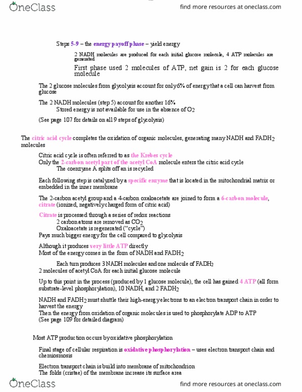 BIOL 1000 Lecture Notes - Lecture 24: Acetyl-Coa, Mitochondrial Matrix, Oxaloacetic Acid thumbnail
