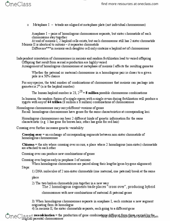 BIOL 1000 Lecture Notes - Lecture 34: Sister Chromatids, Metaphase, Meiosis thumbnail