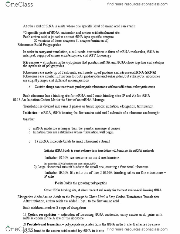 BIOL 1000 Lecture Notes - Lecture 40: Start Codon, Transfer Rna, Ribosomal Rna thumbnail
