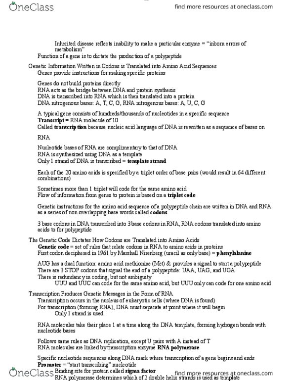 BIOL 1000 Lecture Notes - Lecture 38: Genetic Code, Peptide, Sigma Factor thumbnail