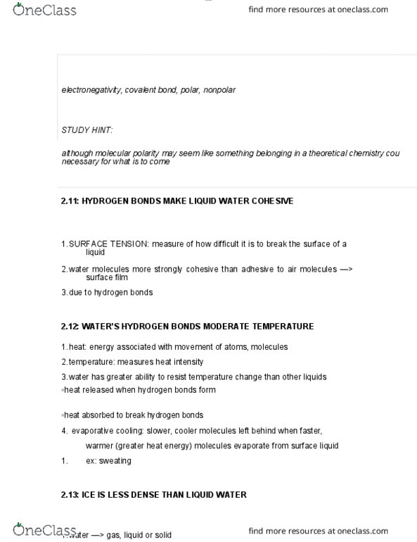 BIOL 1000 Chapter Notes - Chapter 2: Theoretical Chemistry, Covalent Bond, Electronegativity thumbnail