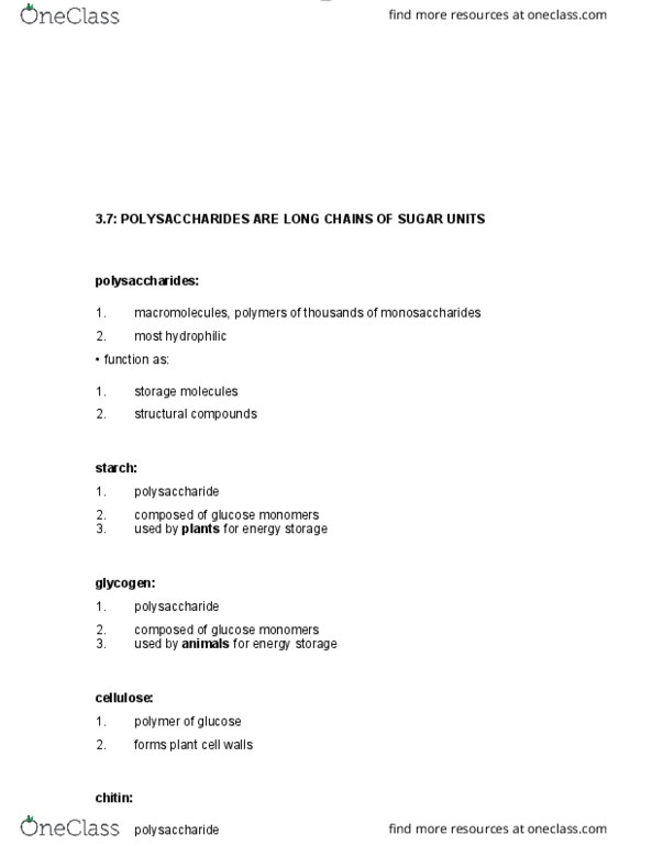 BIOL 1000 Chapter Notes - Chapter 3: Polysaccharide, Starch, Hydrophile thumbnail