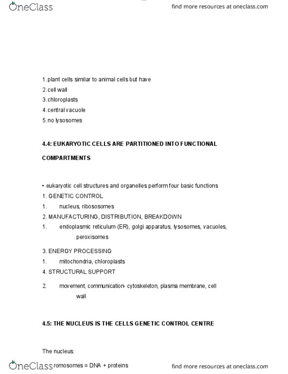 BIOL 1000 Chapter Notes - Chapter 4: Golgi Apparatus, Lysosome, Vacuole thumbnail