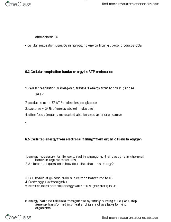 BIOL 1000 Chapter Notes - Chapter 6: Cellular Respiration, Redox, Electronegativity thumbnail