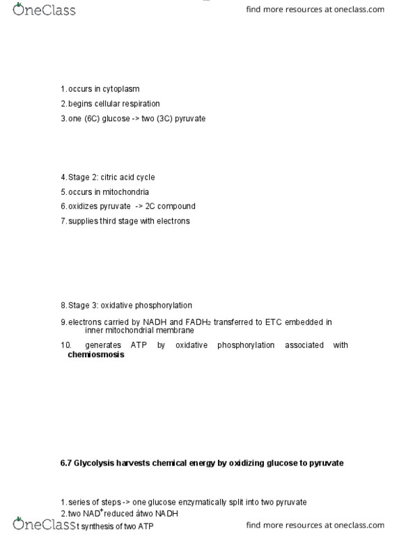 BIOL 1000 Chapter Notes - Chapter 6: Oxidative Phosphorylation, Cellular Respiration, Pyruvic Acid thumbnail