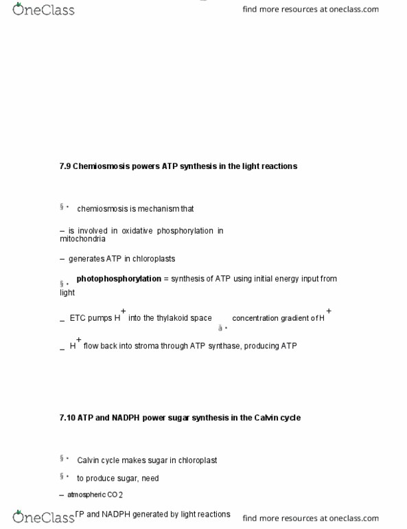 BIOL 1000 Chapter Notes - Chapter 7: Atp Synthase, Oxidative Phosphorylation, Chemiosmosis thumbnail