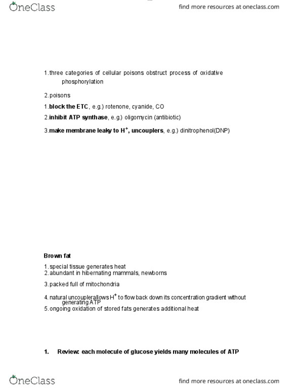 BIOL 1000 Chapter Notes - Chapter 6: Oligomycin, Atp Synthase, Dinitrophenol thumbnail