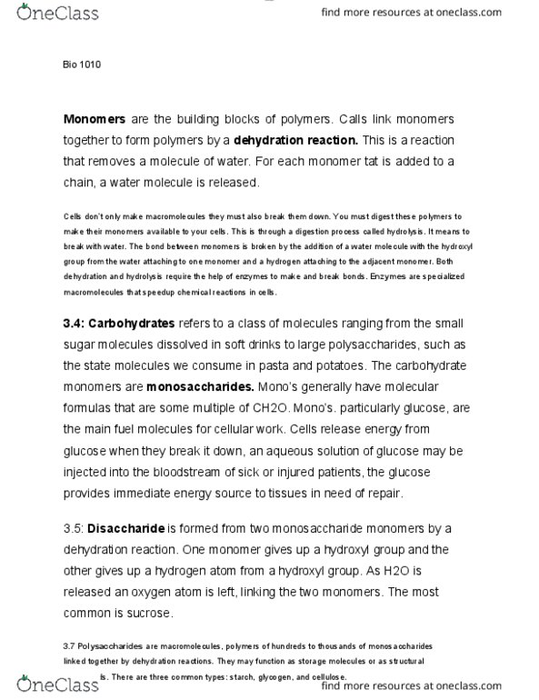 BIOL 1010 Lecture Notes - Lecture 3: Monosaccharide, Hydrolysis, Disaccharide thumbnail