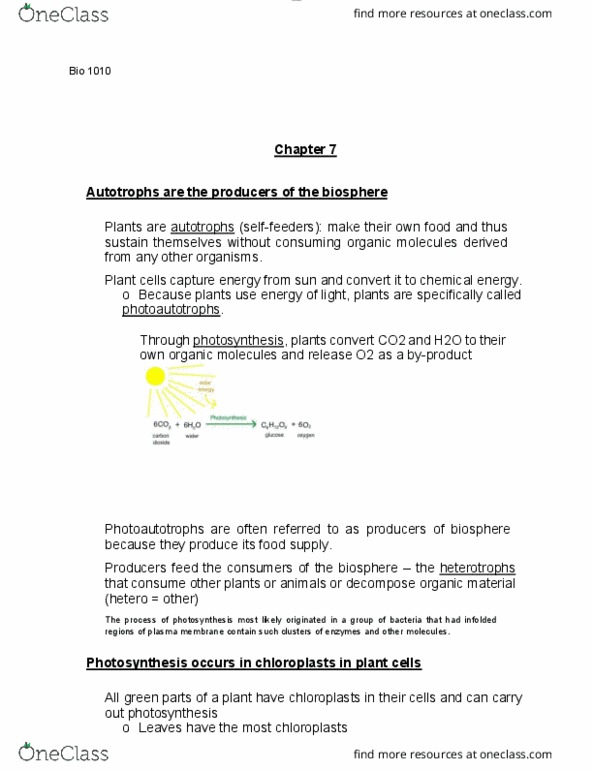 BIOL 1010 Lecture Notes - Lecture 18: Cell Membrane, Chloroplast, Photosynthesis thumbnail