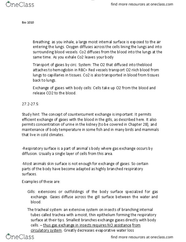 BIOL 1010 Chapter Notes - Chapter 25: Hemoglobin, Trachea thumbnail