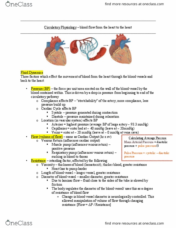 KN 252 Lecture Notes - Lecture 4: Mean Arterial Pressure, Blood Vessel, Cardiac Output thumbnail