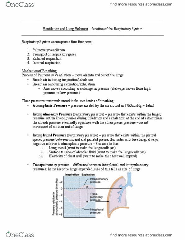 KN 252 Lecture Notes - Lecture 1: External Intercostal Muscles, Transpulmonary Pressure, Exhalation thumbnail