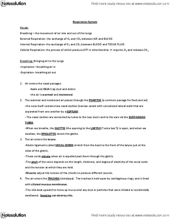 BIOL 1175 Lecture Notes - Dihydrogen Cation, Respiratory Pigment, Medulla Oblongata thumbnail