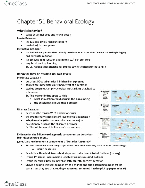 BIOLOGY 1M03 Chapter Notes - Chapter 51: Fixed Action Pattern, Lovebird, Konrad Lorenz thumbnail