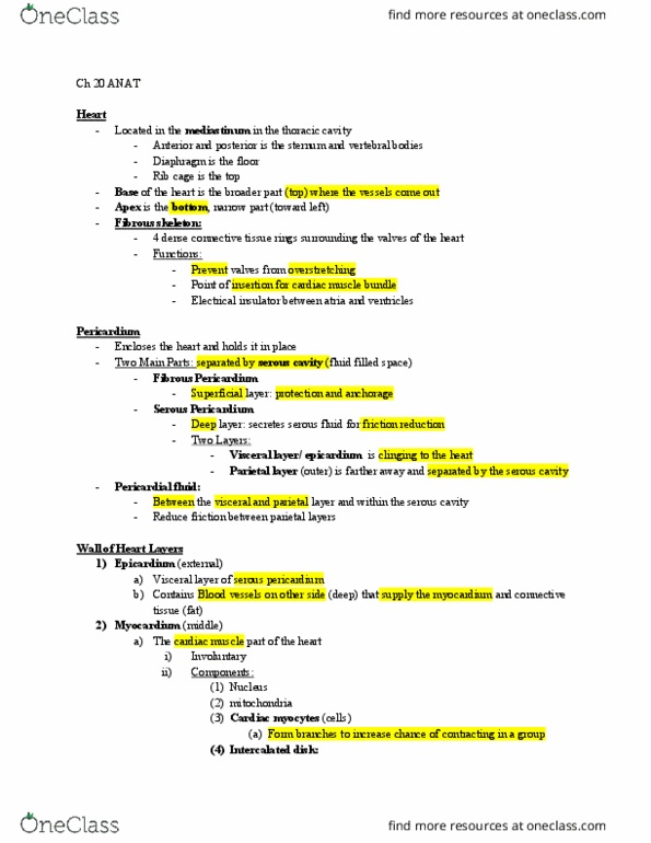 ANAT 103 Lecture Notes - Lecture 20: Left Coronary Artery, Superior Vena Cava, Right Coronary Artery thumbnail