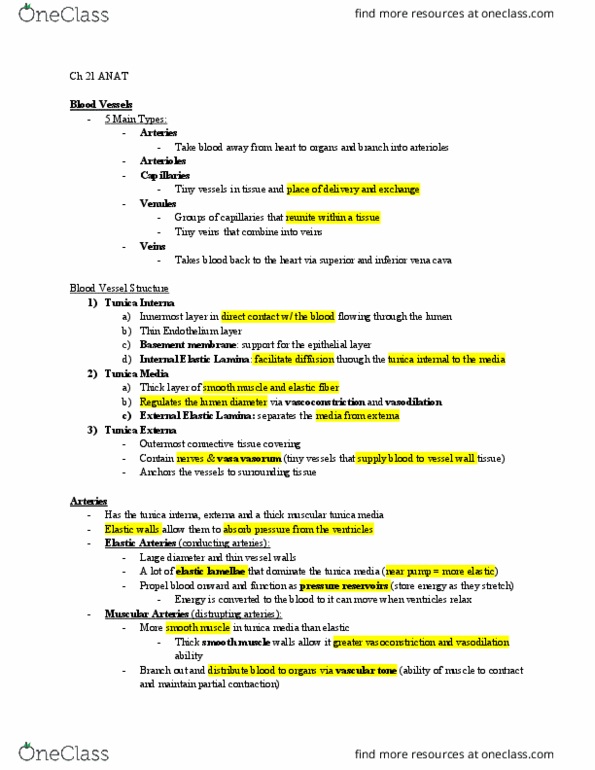 ANAT 103 Lecture Notes - Lecture 21: Tunica Externa, Theca Interna, Oncotic Pressure thumbnail