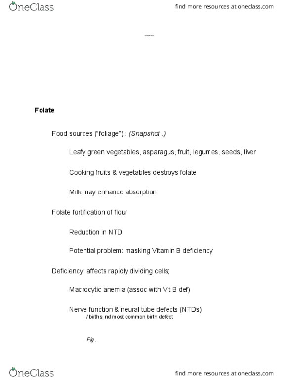 FOOD 2500 Chapter Notes - Chapter 10: Vitamin B12 Deficiency, Macrocytic Anemia, Folate Deficiency thumbnail