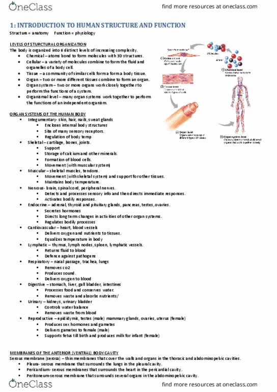 HBS109 Lecture Notes - Lecture 1: Abdominopelvic Cavity, Serous Membrane, Pericardium thumbnail