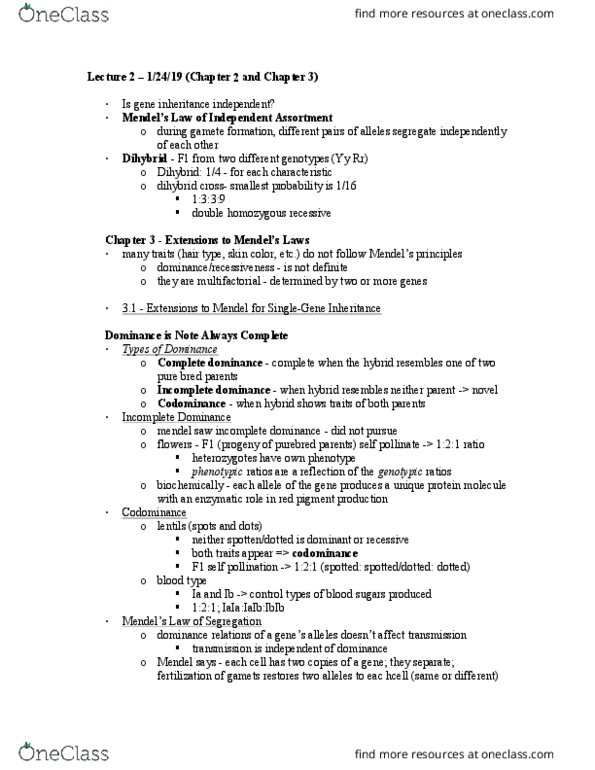 CAS BI 216 Lecture Notes - Lecture 2: Dihybrid Cross, Genotype, Gamete thumbnail