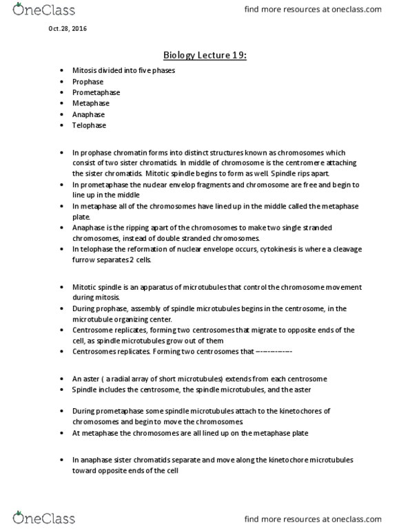 BIOL 1000 Lecture Notes - Lecture 19: Microtubule Organizing Center, Spindle Apparatus, Sister Chromatids thumbnail