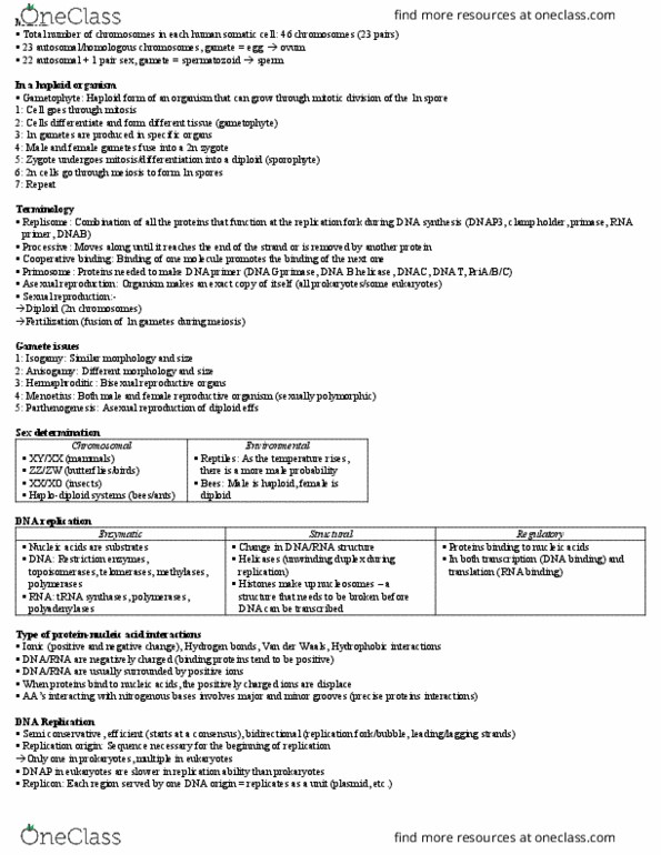BIOL308 Lecture Notes - Lecture 6: Dna Replication, Asexual Reproduction, Dnab Helicase thumbnail