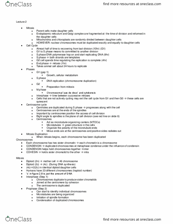 BIOL 1090 Lecture Notes - Lecture 2: Sister Chromatids, Pas De Deux, Condensin thumbnail