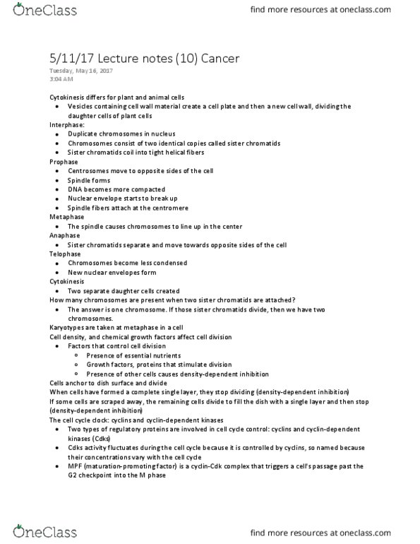 BILD 1 Lecture Notes - Lecture 10: Sister Chromatids, Nuclear Membrane, Cell Plate thumbnail