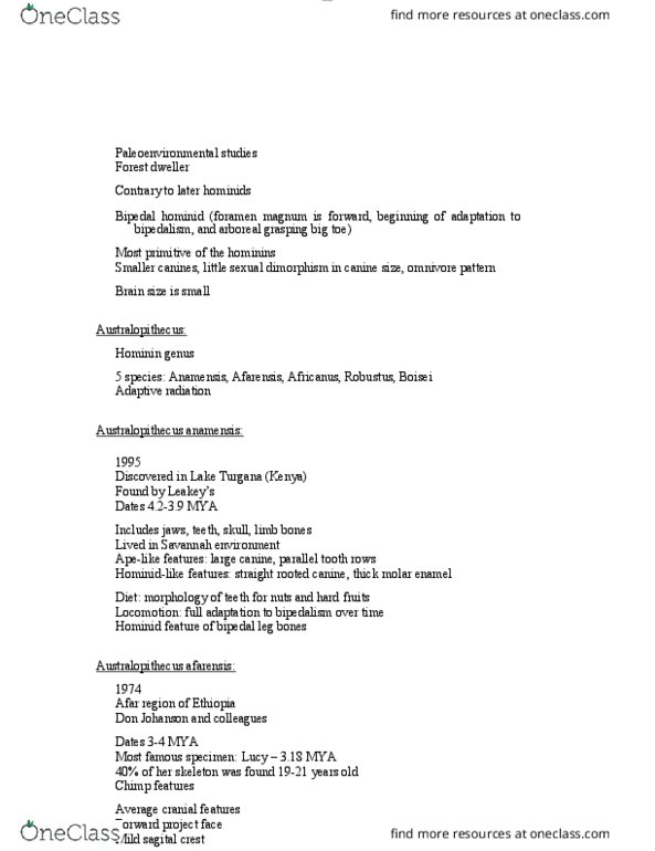 ANTH 1210 Lecture Notes - Lecture 45: Foramen Magnum, Afar Region, Australopithecus Anamensis thumbnail