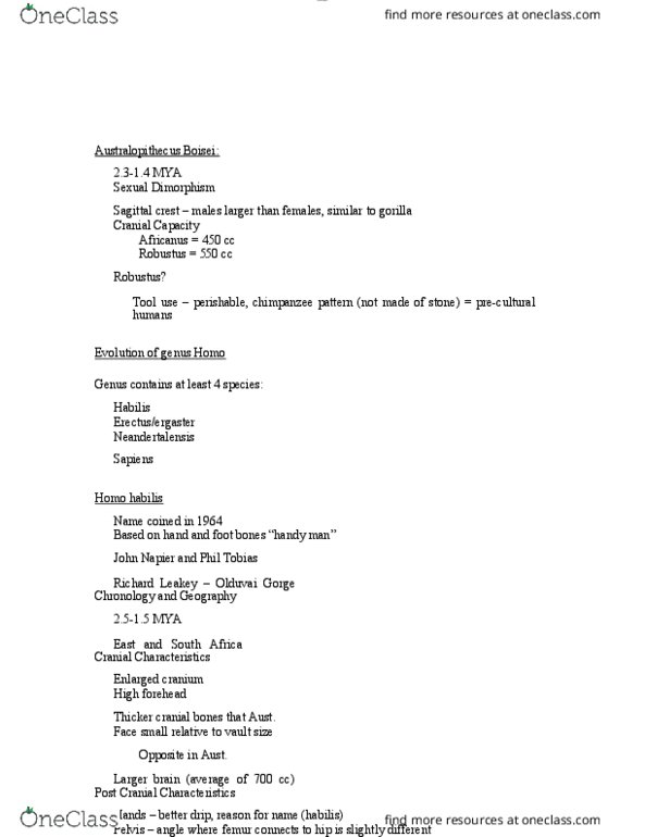 ANTH 1210 Lecture Notes - Lecture 47: Olduvai Gorge, Homo Habilis, Richard Leakey thumbnail