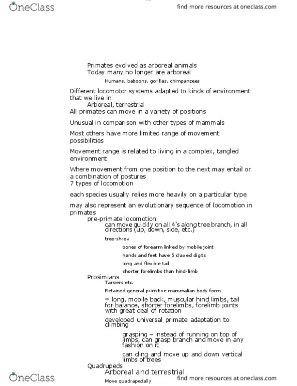 ANTH 1210 Chapter Notes - Chapter 3: Treeshrew, Body Plan, Tangled thumbnail