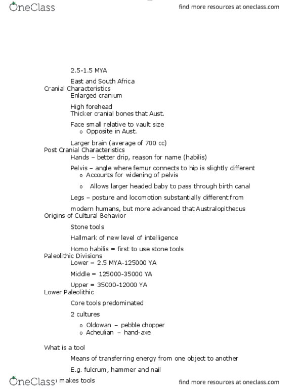 ANTH 1210 Chapter Notes - Chapter 5: Homo Habilis, Acheulean, Hand Axe thumbnail