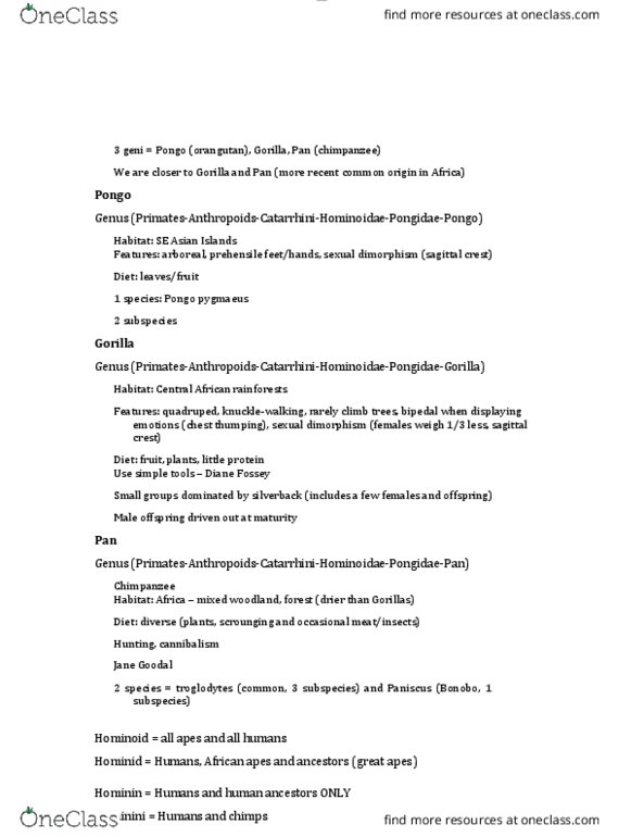 ANTH 1220 Chapter Notes - Chapter 3: Bornean Orangutan, Sagittal Crest, Hominidae thumbnail