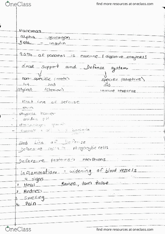 BIOL 1080 Lecture Notes - Lecture 12: Insulin thumbnail