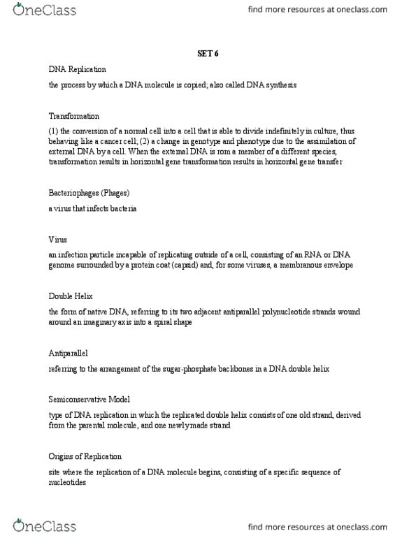 BIOL 1510 Lecture Notes - Lecture 6: Polynucleotide, Heterochromatin, Genetic Code thumbnail