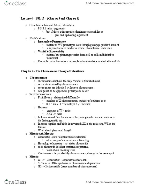 CAS BI 216 Lecture Notes - Lecture 4: Sister Chromatids, Heterogametic Sex, Drosophila Melanogaster thumbnail