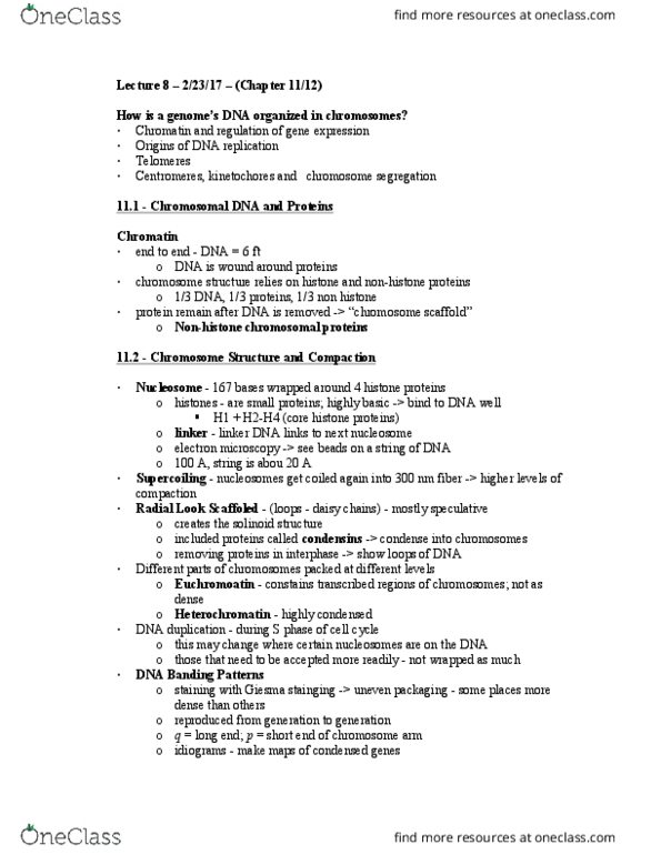 CAS BI 216 Lecture Notes - Lecture 8: Long Non-Coding Rna, Constitutive Heterochromatin, Chromosomal Translocation thumbnail