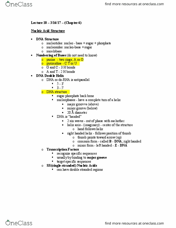 CAS BI 216 Lecture Notes - Lecture 10: Nucleobase, Pyrimidine, Purine thumbnail